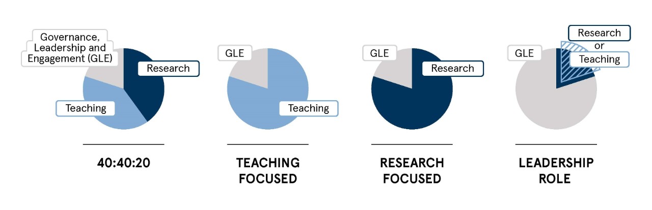 Four pie charts detailing the academic workload for 40:20:20 academic outlining the percentage workload allocation for Teaching focused, Research focused and Leadership (Governance, Leadership and Engagement) focused roles