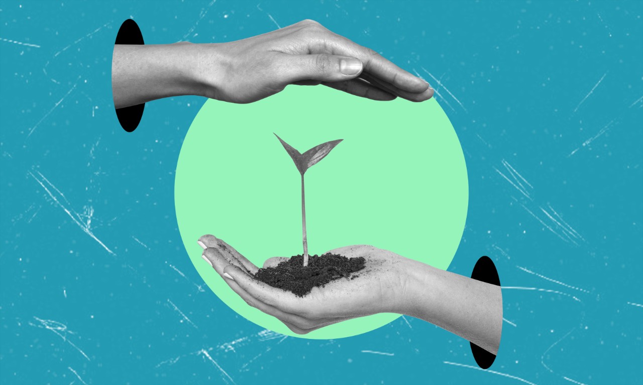 two hands helping a plant grow - mentorship collage